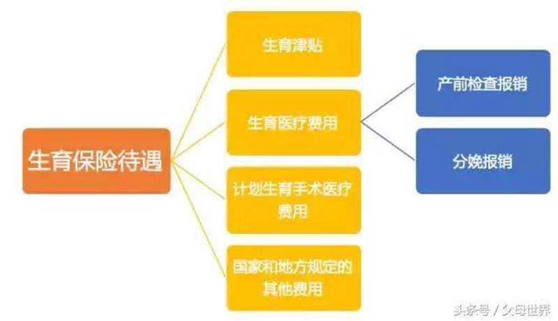 访谈记录：关于妇科检查的最佳时机